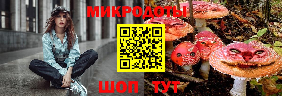 Псилоцибиновые грибы Cubensis  Вход с VPN  Чехов 